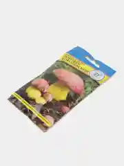 Боровик королевский, семена