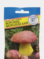 Боровик королевский, семена