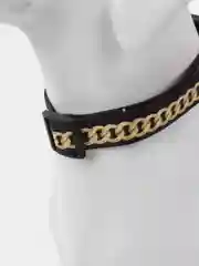 Ошейник Boss, застёжка - фастекс, 2.5 см, 40-55 см