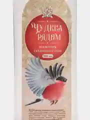 Набор "Сказочного праздника", гель для душа, 300 мл, шампунь волос, 300 мл