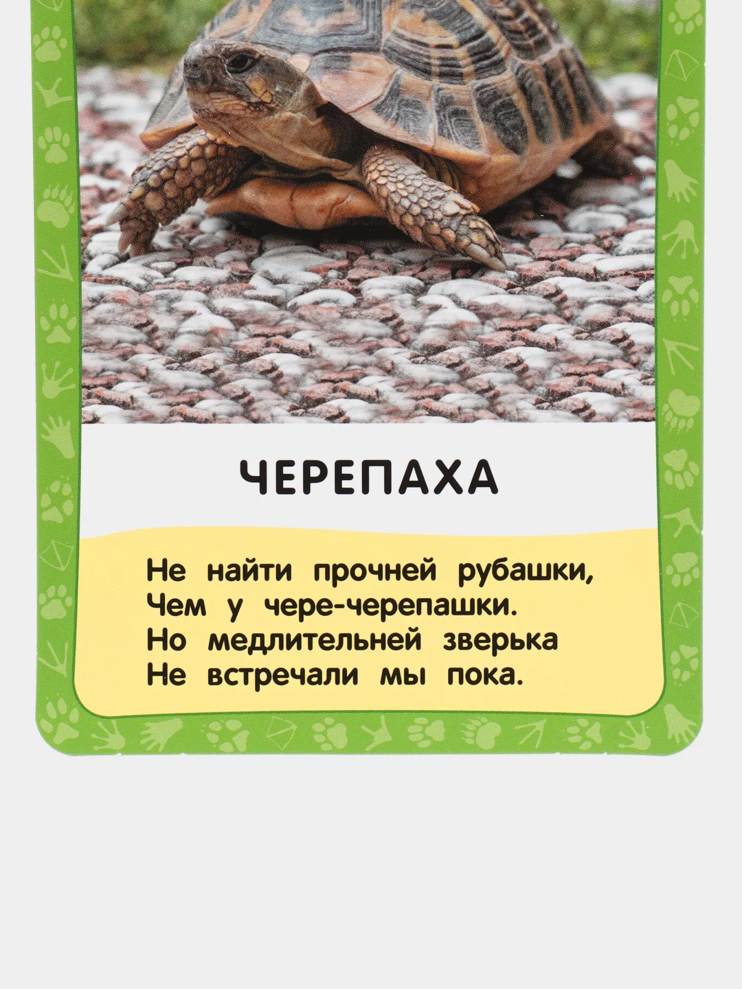 Картонные карточки "Домашние животные"