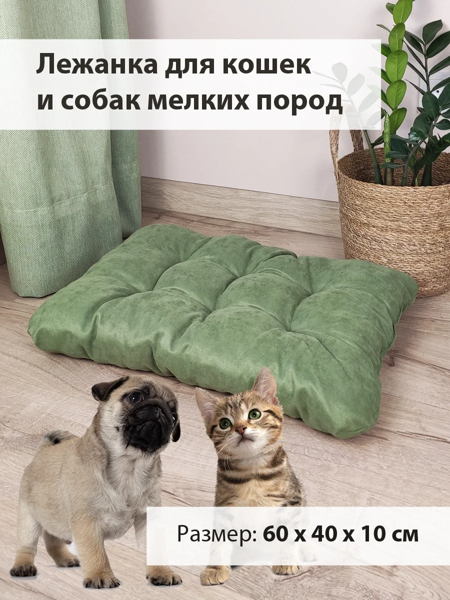 Зеленый лежанка для кошек и собак мелких пород Graff, 60 х 40 см