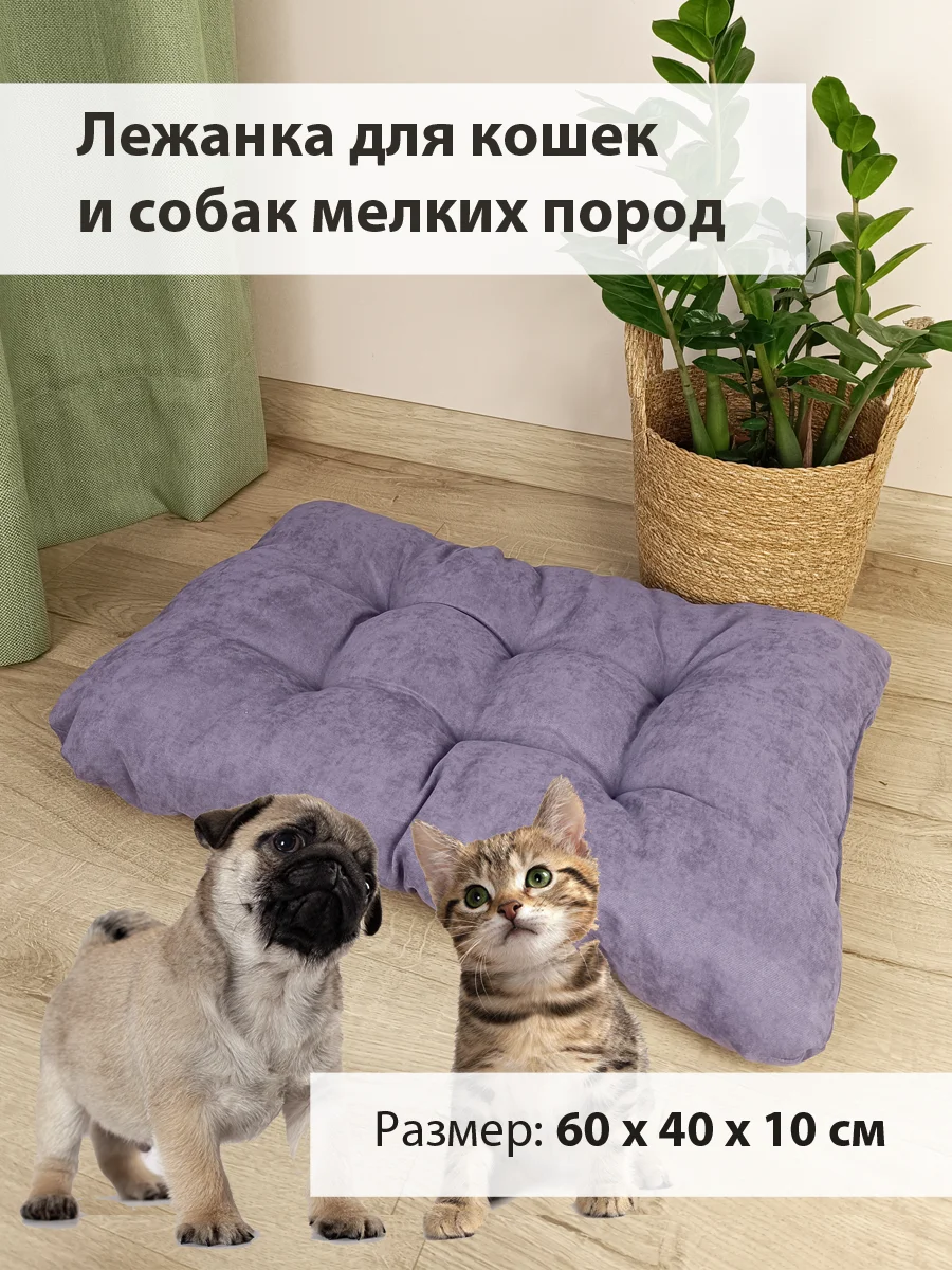 Фиолетовый лежанка для кошек и собак мелких пород Graff, 60 х 40 см