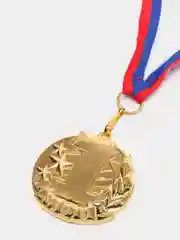 Золотой медаль призовая на ленте триколор, металл, 1-2-3 место, золото, серебро, бронза, 43*46 мм