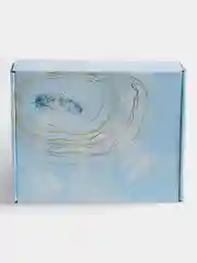 Складная коробка "Inspiration", 27 х 9 х 21 см