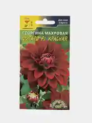 Семена цветы "Георгина Фигаро красная"