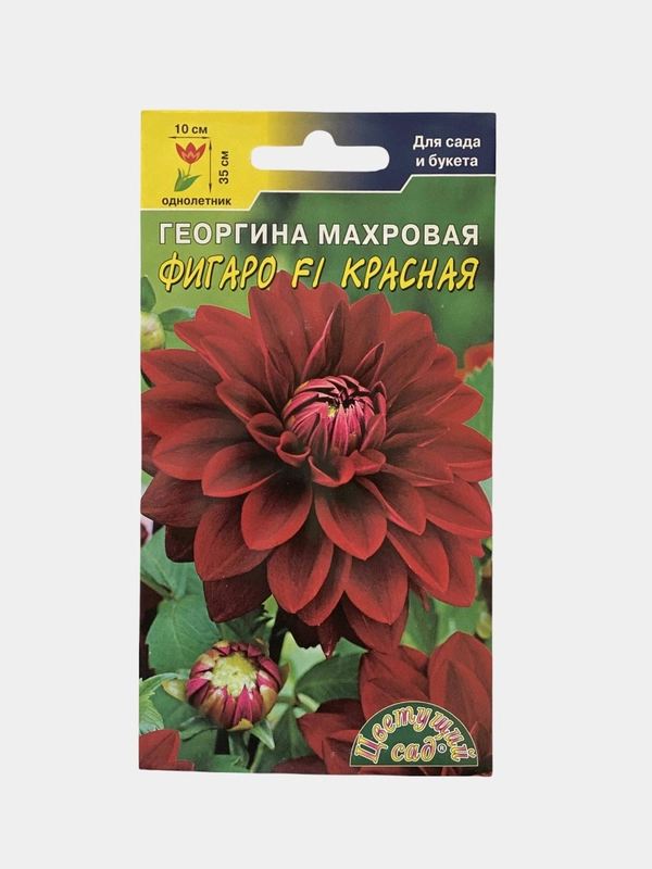 Семена цветы "Георгина Фигаро красная"