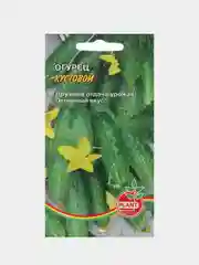 Семена Огурец "Кустовой", раннеспелый