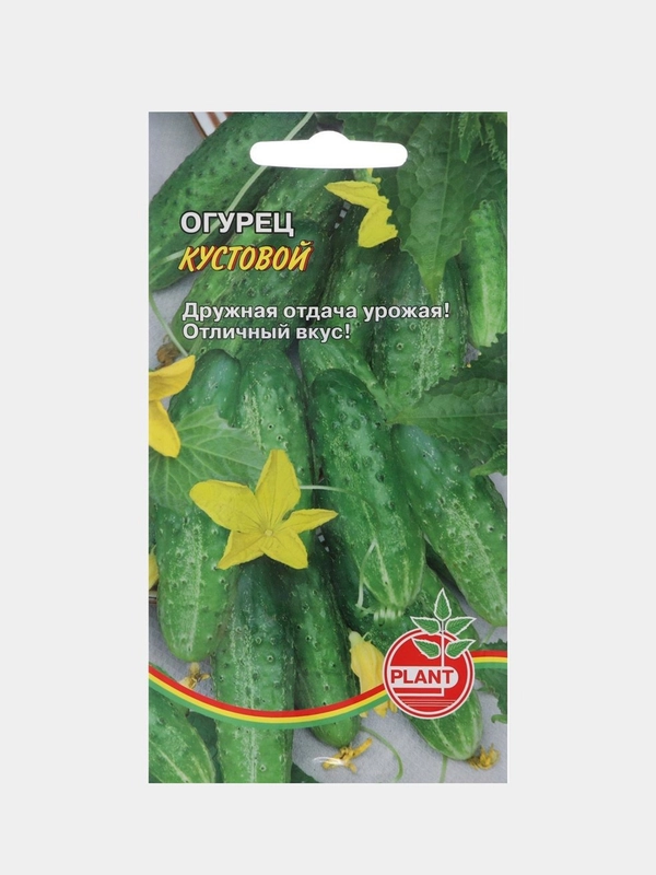 Семена Огурец "Кустовой", раннеспелый