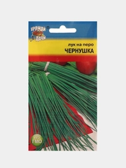 Семена Лук на перо "ЧЕРНУШКА"