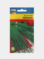 Семена Лук на перо "ЧЕРНУШКА"