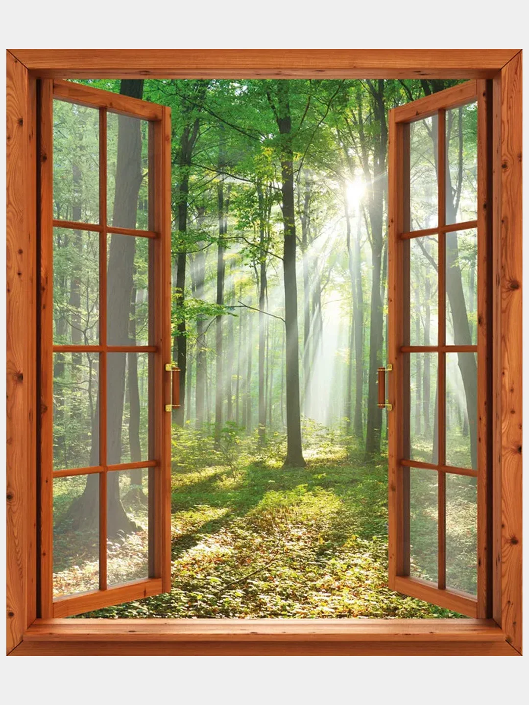 Бумажные фотообои Postermarket "Окно в лес", 119х140 см