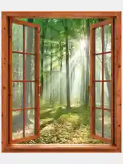 Бумажные фотообои Postermarket "Окно в лес", 119х140 см