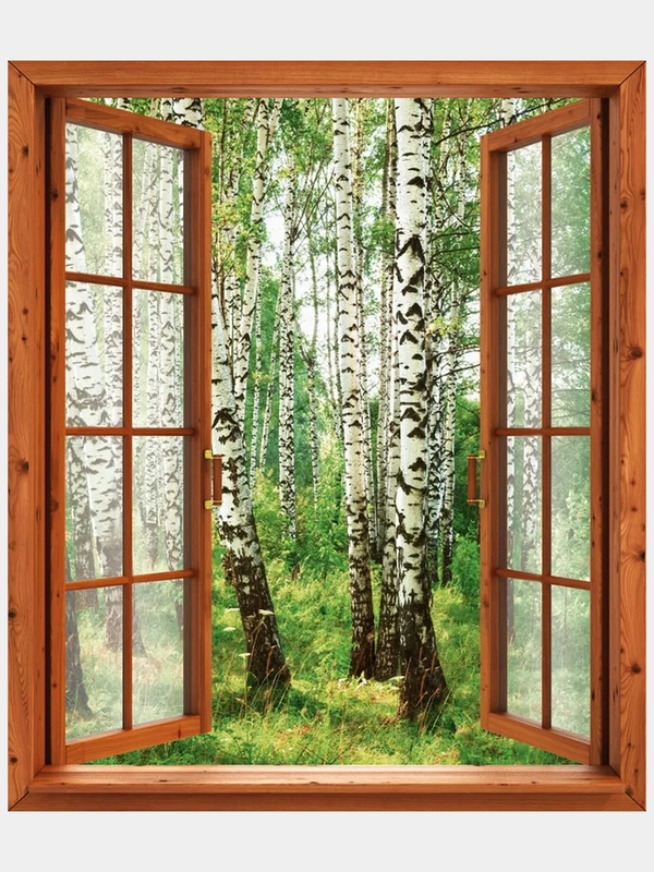 Бумажные фотообои Postermarket "Окно в березовую рощу", 119х140 см