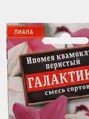 Ипомея Квамоклит "Галактика", смесь сортов, семена, цветы