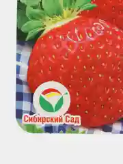 Земляника "Летняя красавица", семена
