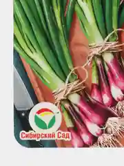 Лук батун Красный подснежник, семена