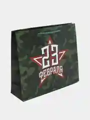 Зеленый пакет ламинированный горизонтальный для мужчин "23 февраля С Праздником!"
