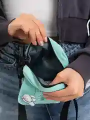 Бирюзовый сумка через плечо, подростковая, тканевая, маленькая, мужская, женская, с зайчиком, аниме