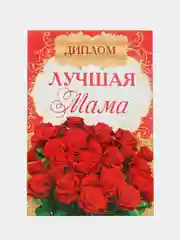Диплом Лучшей маме