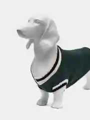 Зеленый свитер, костюм, толстовка, джемпер для собак и кошек