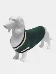 Зеленый свитер, костюм, толстовка, джемпер для собак и кошек