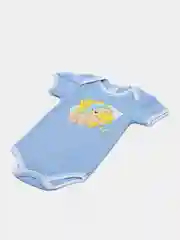 Боди
