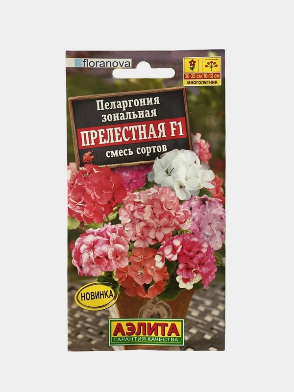 Пеларгония Прелестная (семена,цветы)