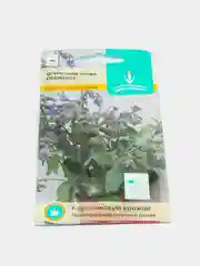 Огуречная трава СВЕЖЕСТЬ 0,5г / Евро - семена