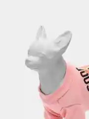 Розовый толстовка худи для собак мелких пород и кошек, костюм для собак и кошек с мишкой