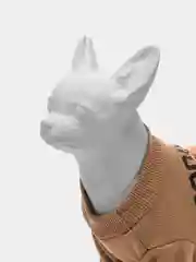 Карамельный толстовка худи для собак мелких пород и кошек, костюм для собак и кошек с мишкой