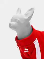 Красный толстовка для кошек и собак, модная одежда для животных на молнии