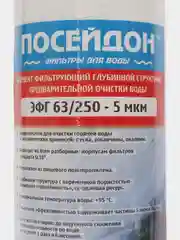 Посейдон ЭФГ-Г 63/250-5 мкм картридж предфильтра для горячей воды