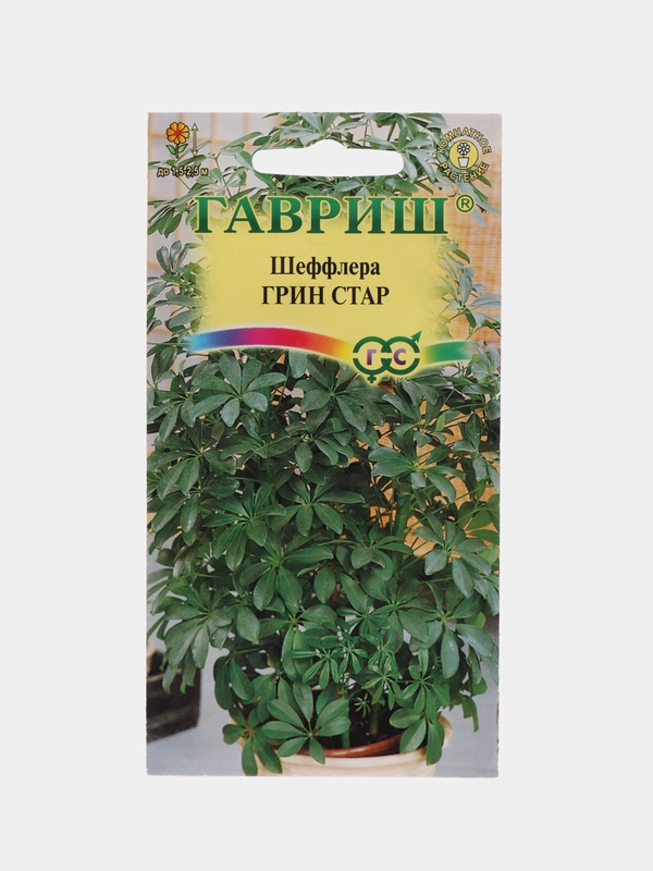 Шеффлера Грин Стар (семена,цветы)