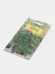 Шеффлера Грин Стар (семена,цветы)