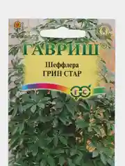 Шеффлера Грин Стар (семена,цветы)