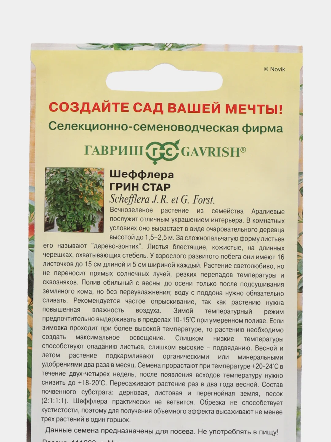Шеффлера Грин Стар (семена,цветы)