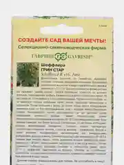Шеффлера Грин Стар (семена,цветы)