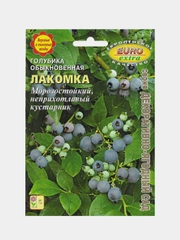 Семена "Голубика лакомка"