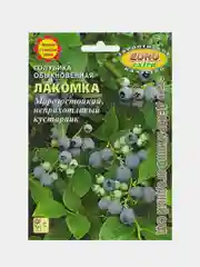 Семена "Голубика лакомка"