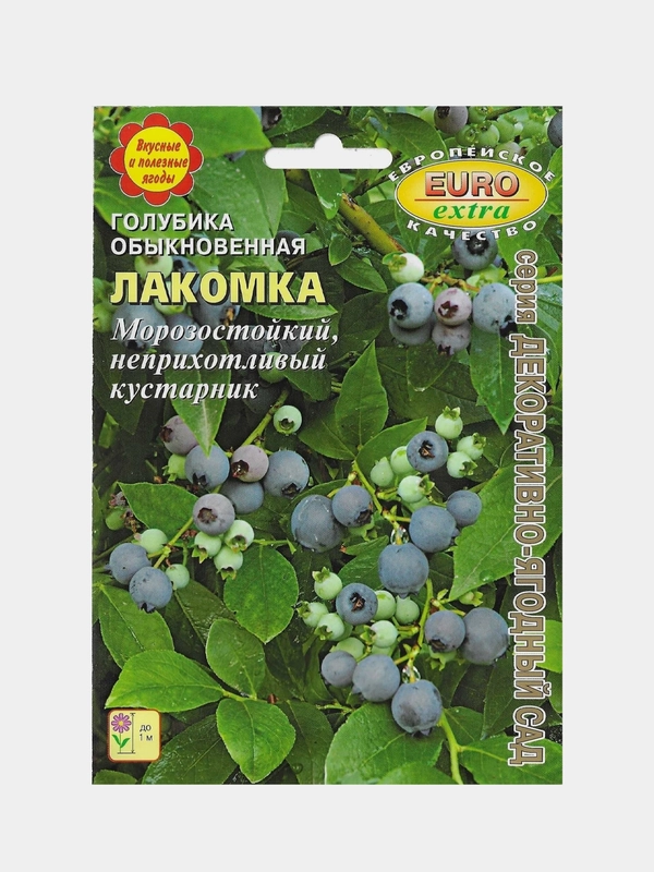 Семена "Голубика лакомка"