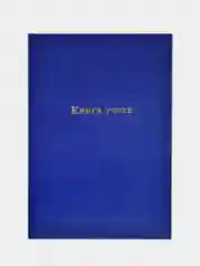 Книга учета INFORMAT, 192 листа, клетка, А4