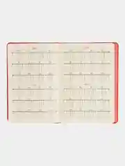 Ежедневник INFORMAT ФЕНОМЕН, А5, недатированный, 176 листов, 1шт