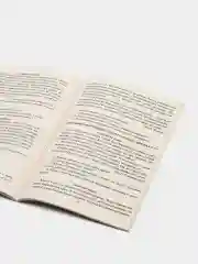 Чтение. 1-4 классы: тексты для проверки техники и выразительности чтения