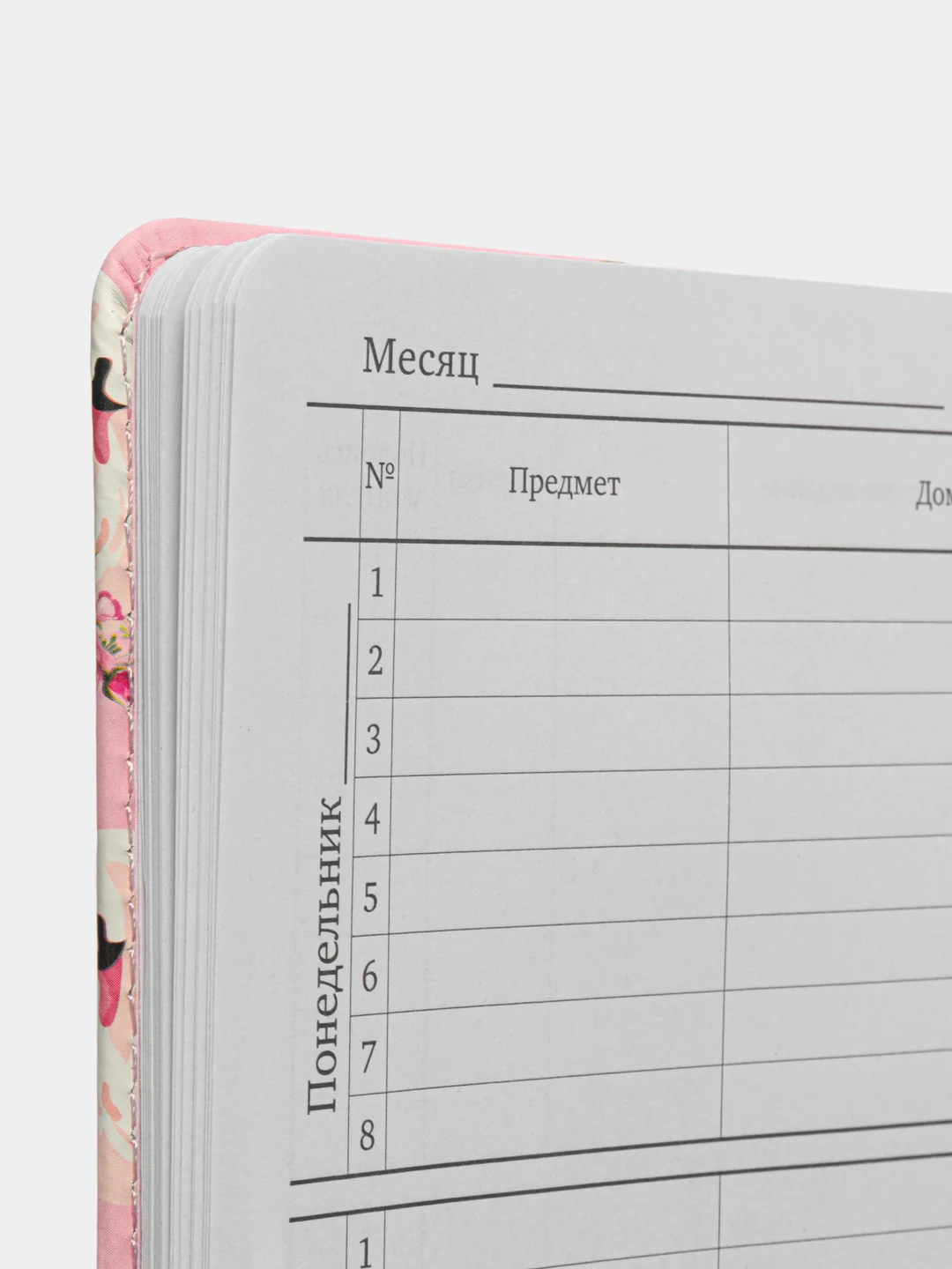 Дневник "Лебедь" для 1-11 класса, 48 л, магнитный клапан, Юнландия