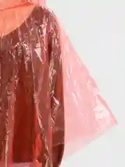Красный дождевик