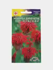 Монарда двойчатая Красная, семена, цветы