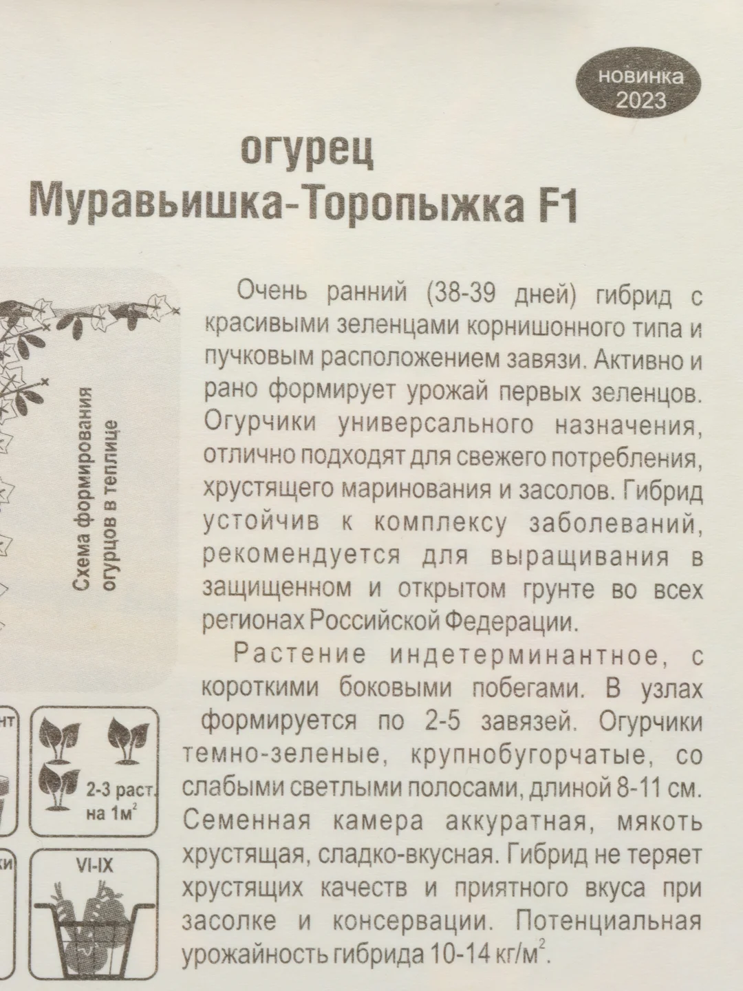 Огурец Муравьишка-торопыжка (семена)
