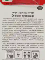 Капуста декоративная "Осенняя красавица", семена
