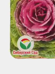 Капуста декоративная "Осенняя красавица", семена